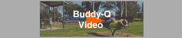 BuddyQVideo REDUX