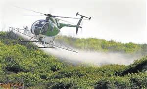 aerial weed spraying