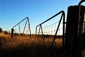 farm gate