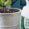 SureSpray Action