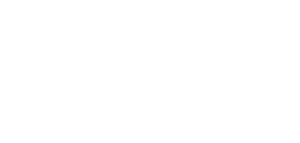 Rapid Vehicle System Logo White Big 01