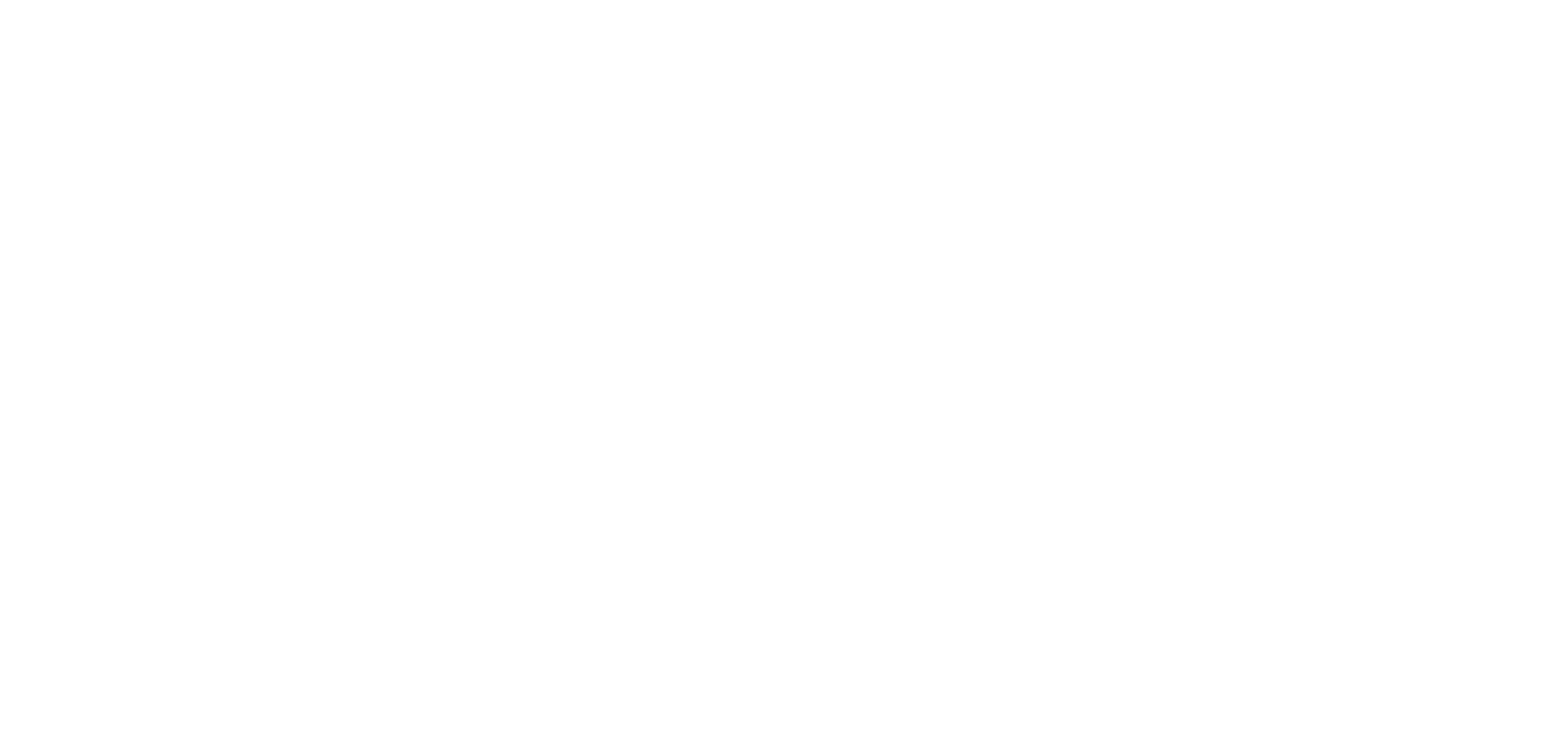 Rapid Vehicle System Logo White Big 01