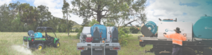 DP Banner Summer2024tt 01