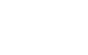 Rapid Logix Logo White Small 01 02