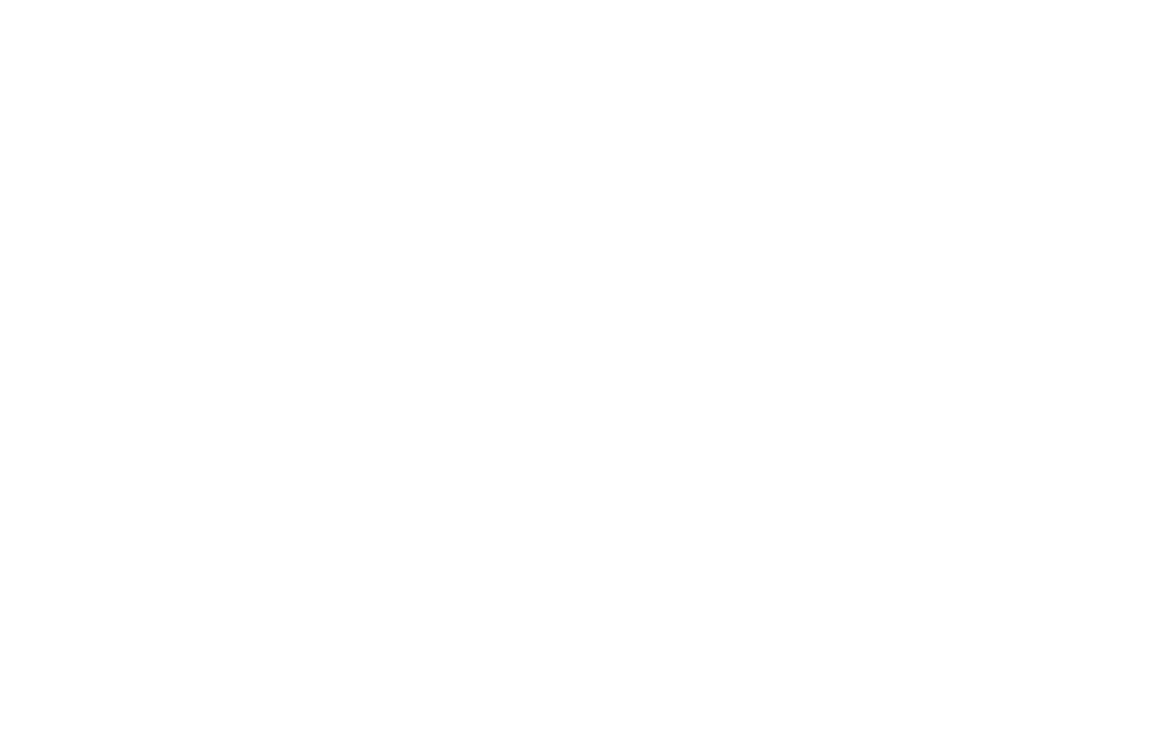 Rapid Logix Logo White Small 01 02