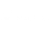 rapid vehicle systems