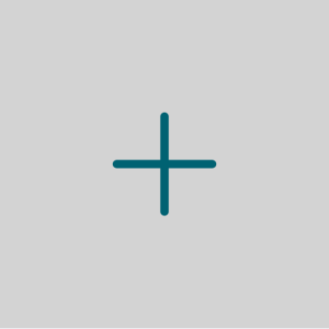 show more icon