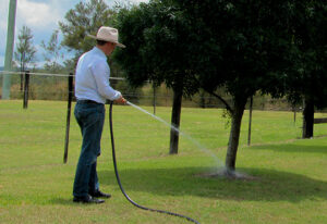 irrigation tree watering