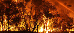FB Ads EOFY Bushfire1 e1573443501153 (1)