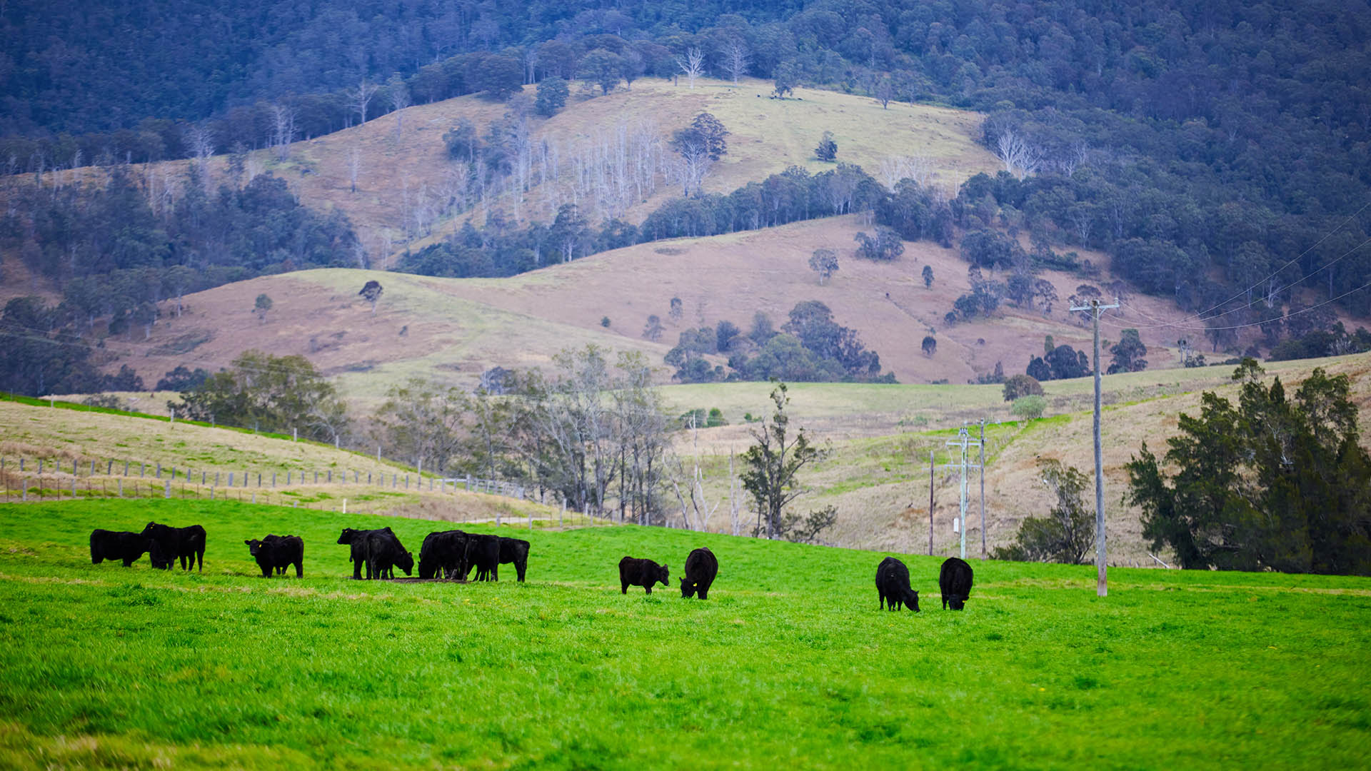 Assistance For Farmers