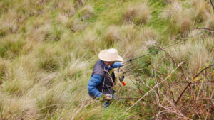Weed Management Solutions