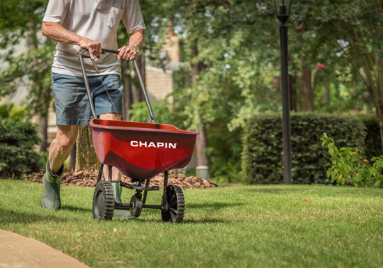 Man using a Chapin push spreader to evenly apply fertiliser across a garden lawn