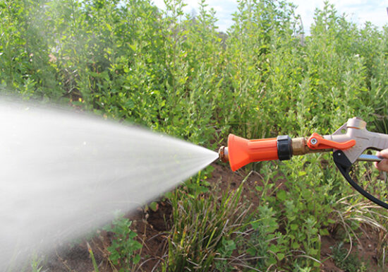 Weed Spray Gun