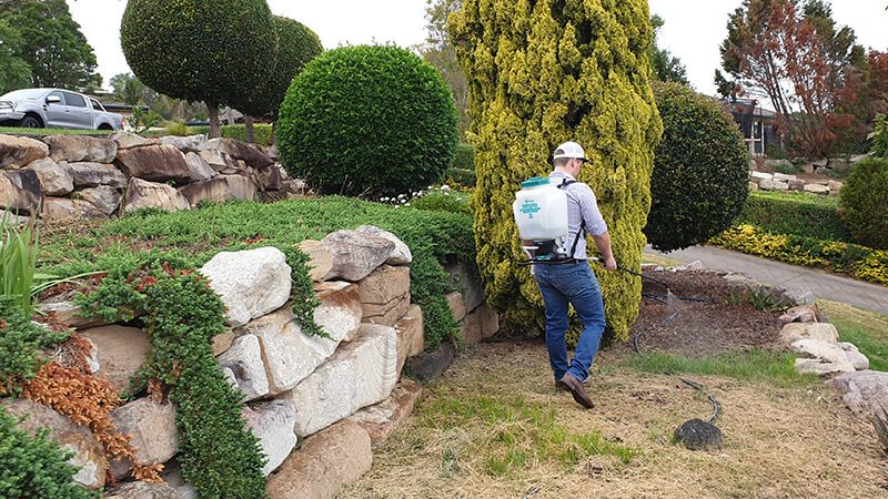 Man using a RapidPro backpack sprayer to apply herbicide or garden treatment in a landscaped garden area.